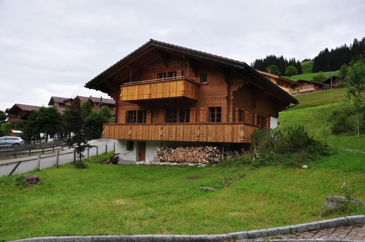 Ferienwohnungen Hotel Alpina 阿德尔博登 外观 照片